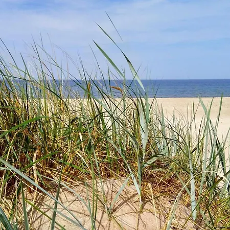 Genio 47 Pajurio Nameliai Nyaraló Palanga