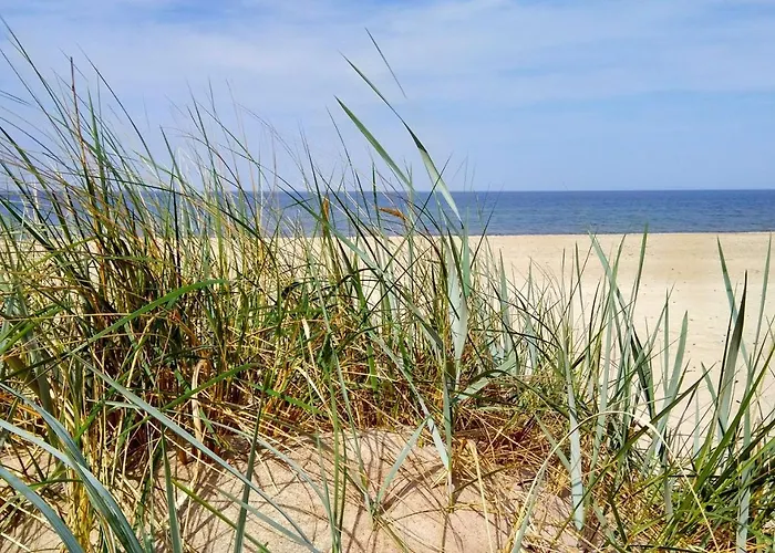 Genio 47 Pajurio Nameliai Nyaraló Palanga